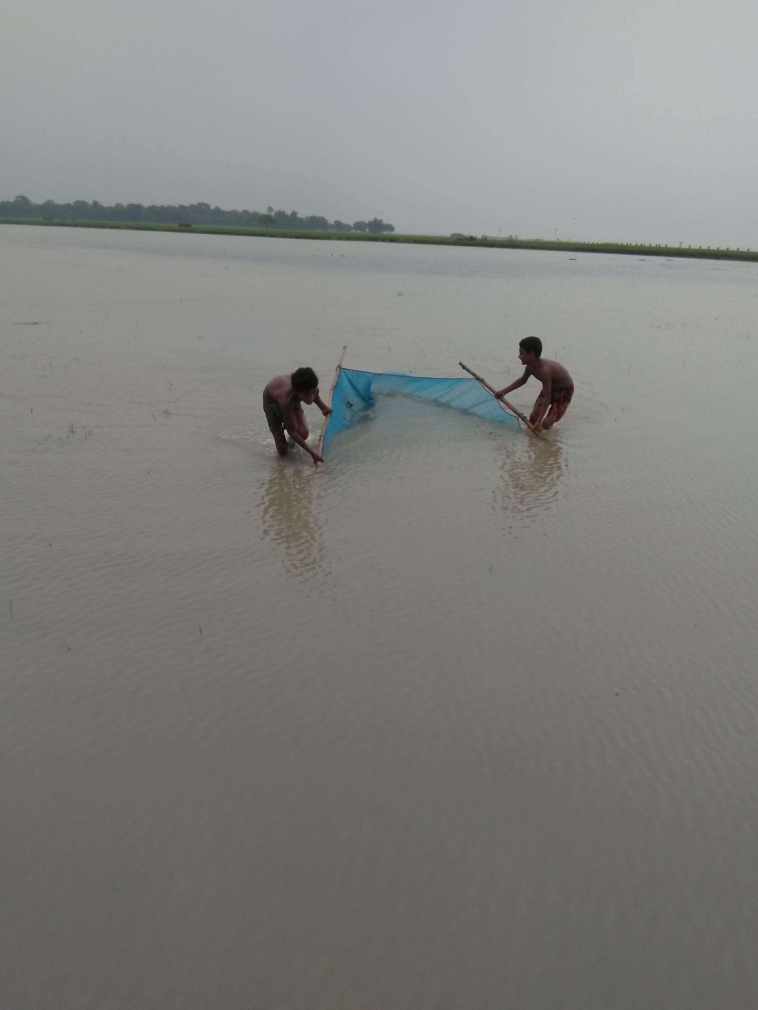 Biodiversity Assessment for Conservation Strategies of Fishes in the Babu Mondoler beel, Chapainawabganj, Bangladesh